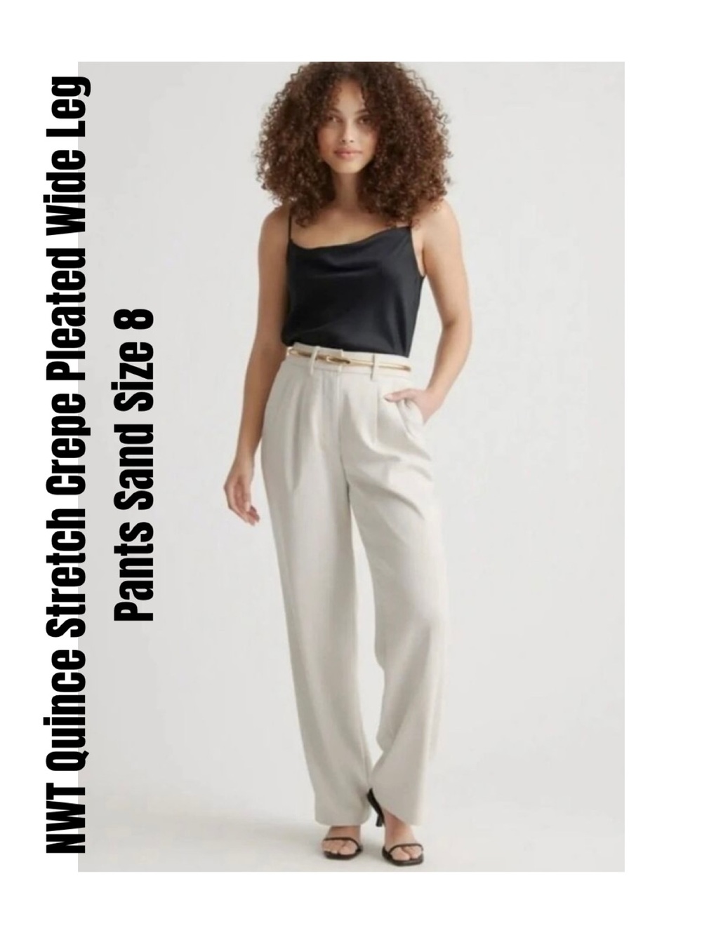 Quince Stretch Crepe Pleated Wide Leg Pants Sand Size 8